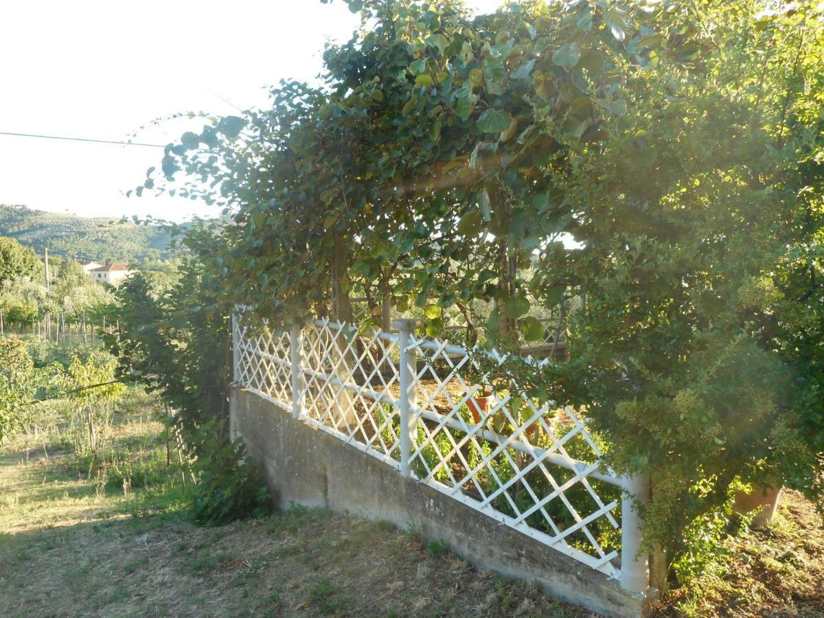 卡斯蒂里昂·菲奥伦蒂Poggio Fiorito公寓 外观 照片